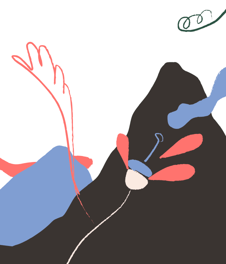 Executive Coaching Hero